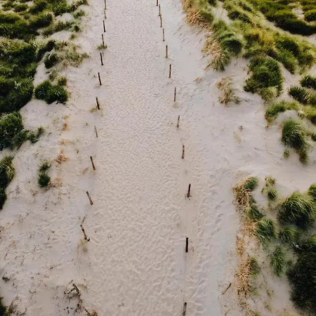 Apartment Shell 61 Zandvoort
