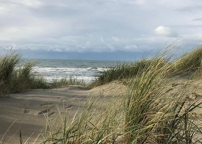 Shell 61 Lägenhet Zandvoort